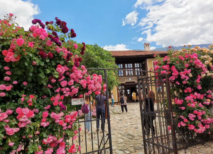 Rose Valley Bulgaria, Bulgaria